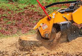 Best Lawn Maintenance Plans  in East Islip, NY